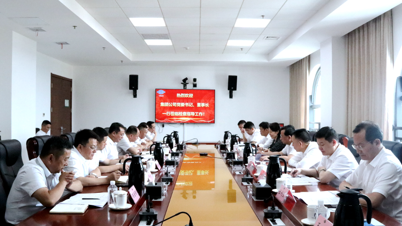 2022年6月，集團公司黨委書記、董事長戴和根一行到公司調(diào)研指導(dǎo)工作