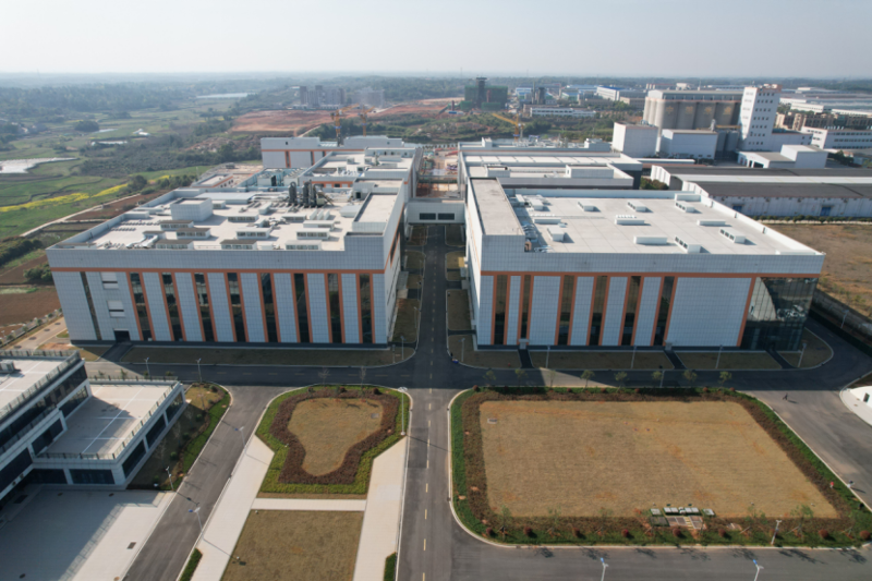 聚焦“135” 品牌引領(lǐng)在行動(dòng) ⑤ | 中國化學(xué)四化建各單位獲多項(xiàng)榮譽(yù)