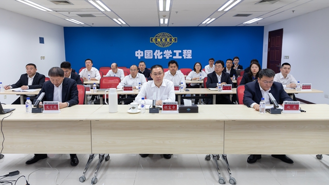 中國化學召開5月安全質量環保工作例會暨質量大檢查專項行動動員部署會議