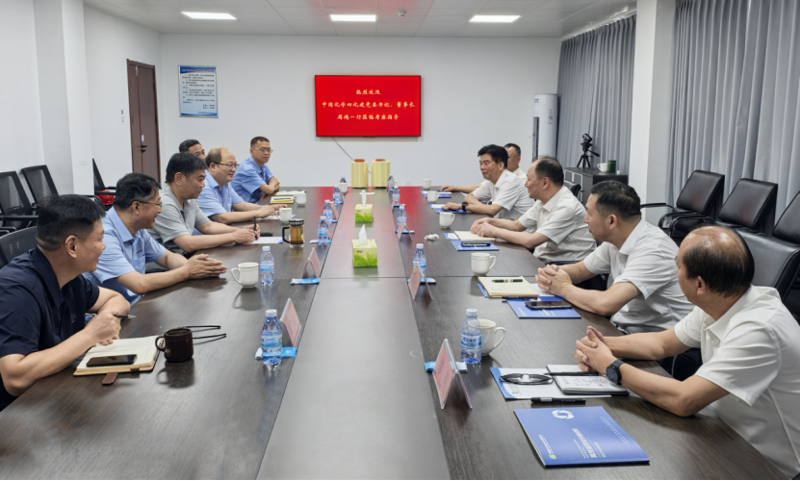 周鴻與中國平煤神馬集團董事張電子舉行工作會談